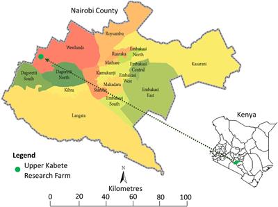 Enhancing <mark class="highlighted">Climate Resilience</mark> of Rain-Fed Potato Through Legume Intercropping and Silicon Application